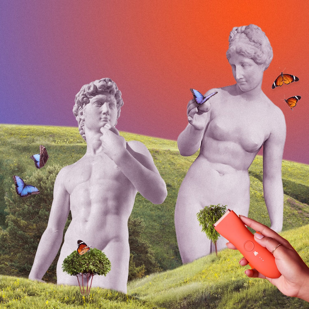 Bare, Buzz or Bush? Exploring Hair, Desire, and Intimacy