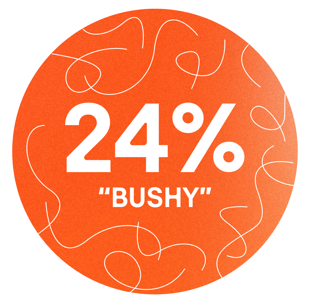 24% bushy texture statistic in bold white font on orange background with abstract hair strand illustrations