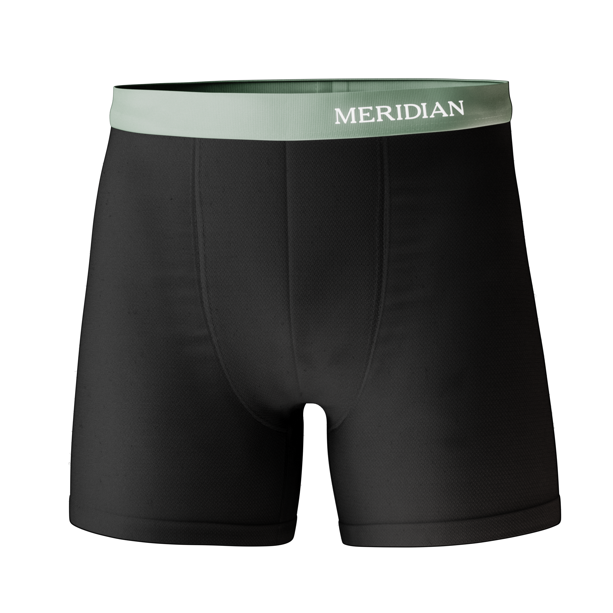 https://www.meridiangrooming.com/cdn/shop/products/meridian-boxers-ecommerce-front.png?v=1670229457